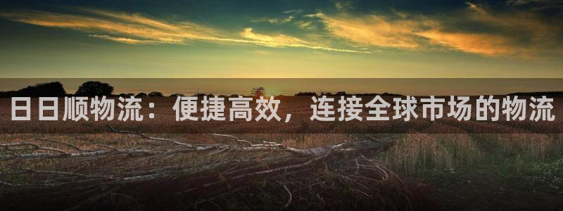 超凡国际官网预测：日日顺物流：便捷高