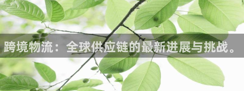 超凡国际违法吗：跨境物流：全球供应链