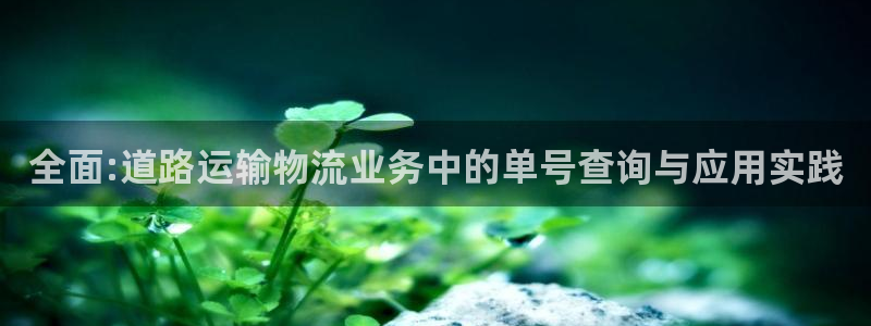 超凡国际推广链接是多少粉丝