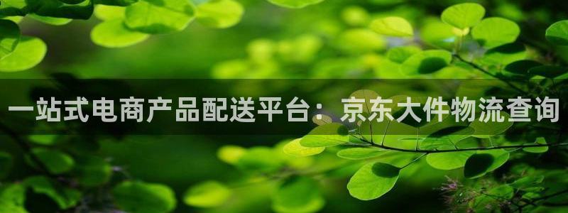 超凡国际忘记账号：一站式电商产品配送