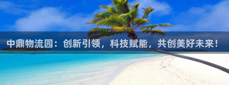 超凡国际初始密码在哪里修改：中鼎物流