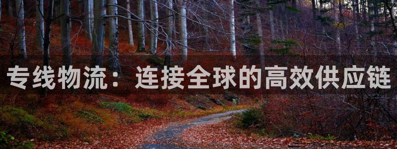 超凡国际平台注册：专线物流：连接全球