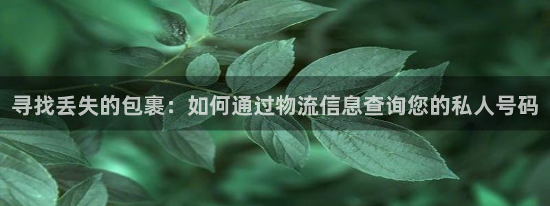 超凡国际机器人是什么软件