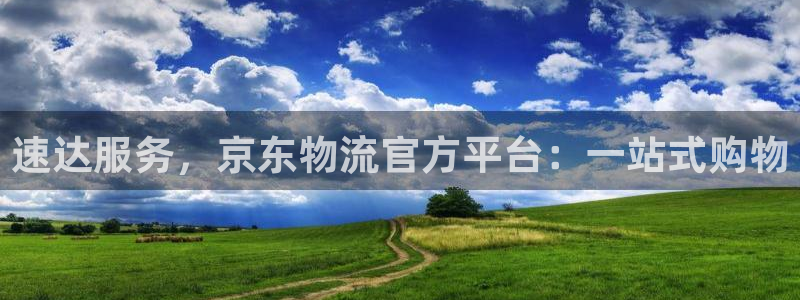 超凡国际电子游戏：速达服务，京东物流