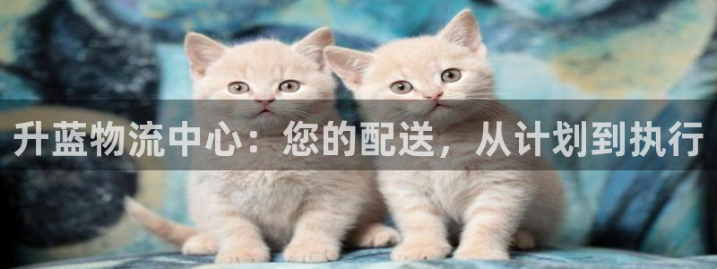 超凡国际黑吗：升蓝物流中心：您的配送
