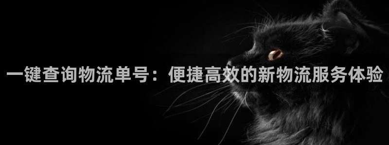 超凡国际是啥：一键查询物流单号：便捷