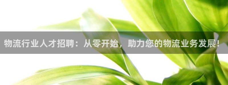 超凡国际官网入口app：物流行业人才