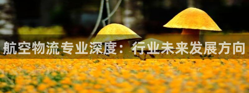 超凡国际官网入口正版：航空物流专业深