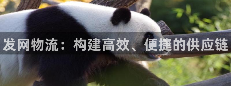 超凡国际模拟器在线使用：发网物流：构