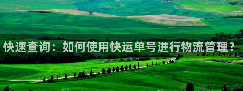 超凡国际注册步骤：快速查询：如何使用