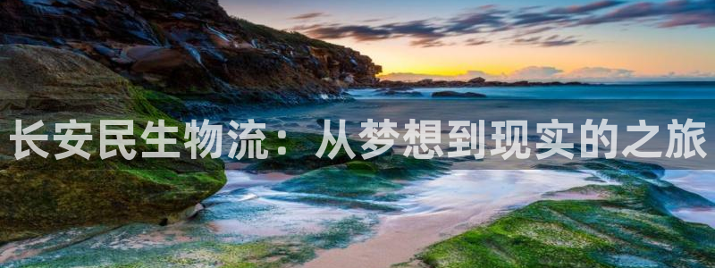 超凡国际麻将：长安民生物流：从梦想到