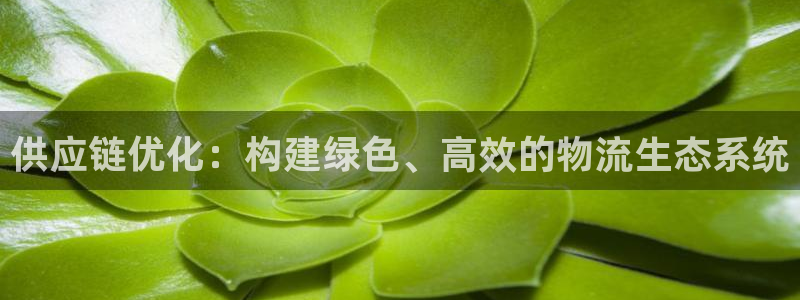超凡国际稳吗：供应链优化：构建绿色、高效的物流生态系统