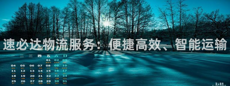 超凡国际怎么注册账号：速必达物流服务