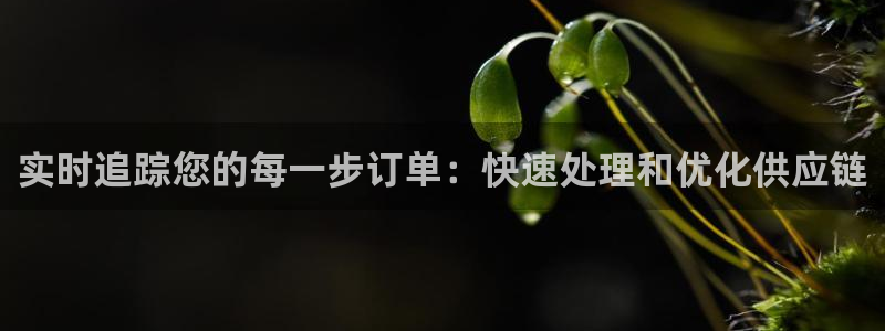 超凡国际大神预测：实时追踪您的每一步