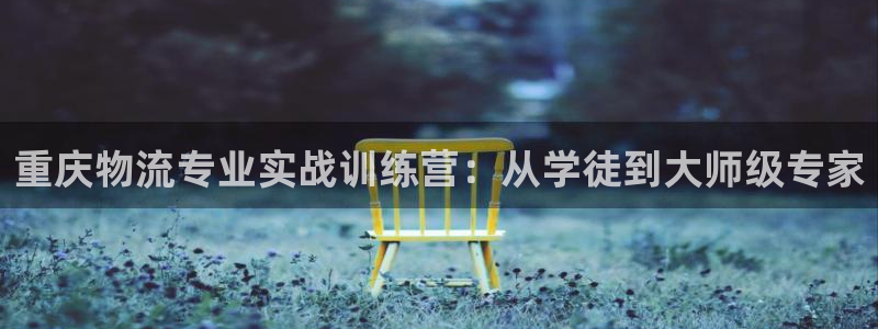 超凡国际官方网站预测：重庆物流专业实