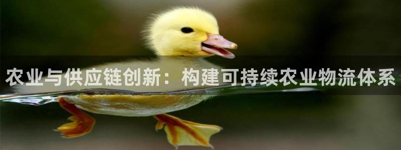 超凡国际加拿大app预测