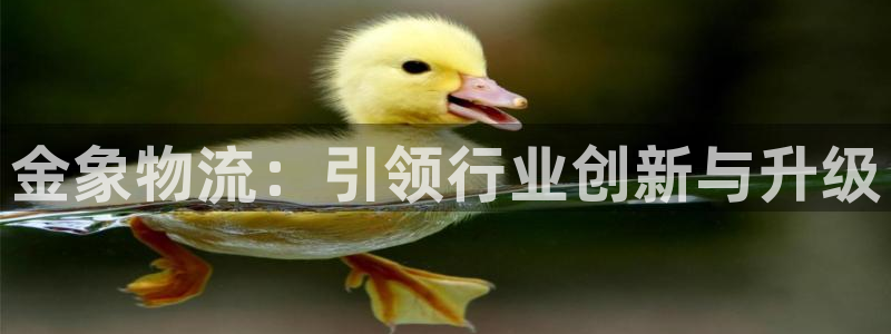 超凡国际游戏最新版：金象物流：引领行