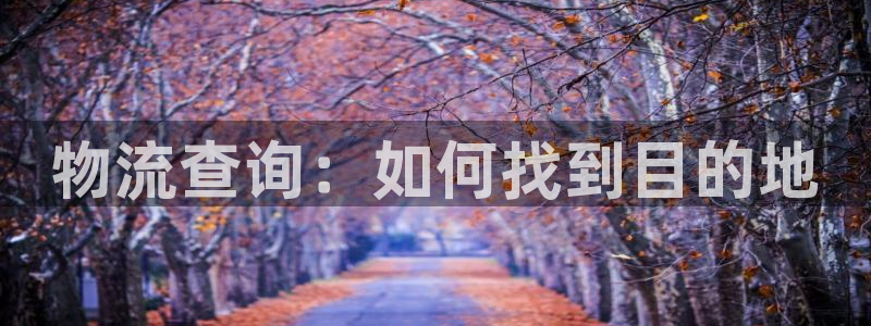 超凡国际是正规软件吗：物流查询：如何