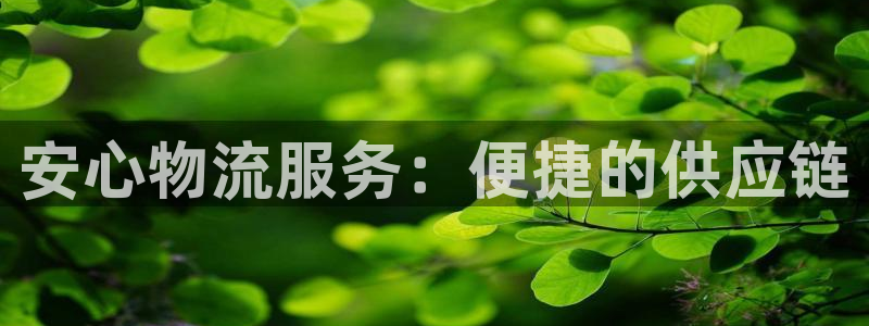 超凡国际：安心物流服务：便捷的供应链
