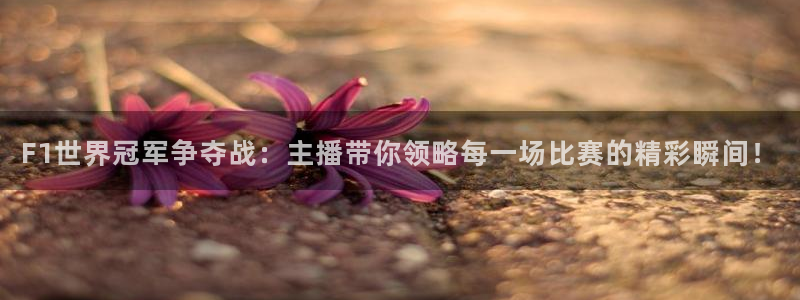 山猫nba体育直播