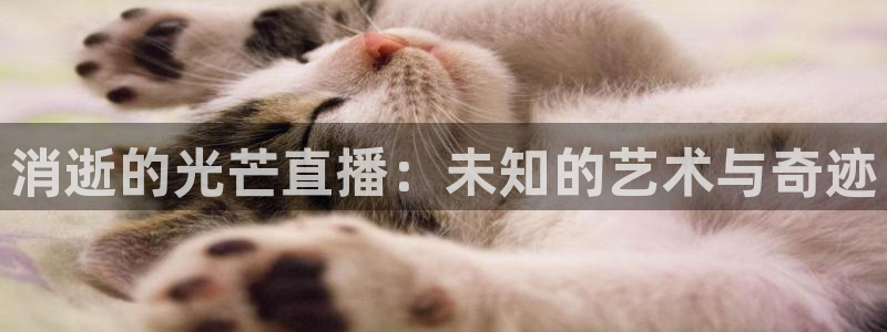 篮球直播山猫：消逝的光芒直播：未知的艺术与奇迹