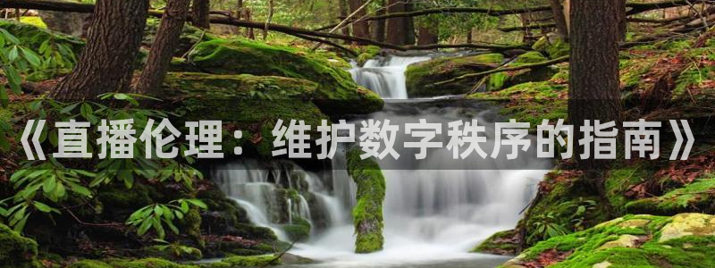 山猫篮球体育直播：《直播伦理：维护数字秩序的指南》