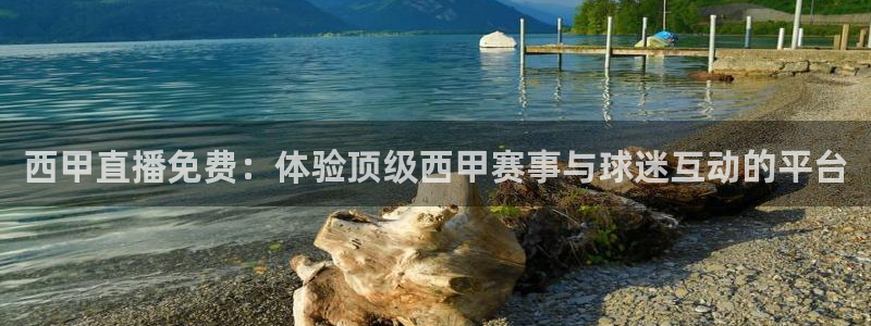 山猫直播nba体育直播：西甲直播免费：体验顶级西甲赛事与球迷互动的平台